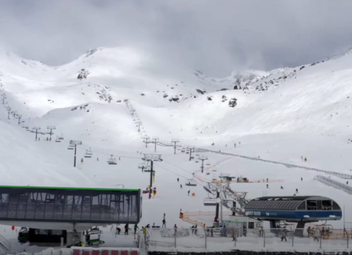 nz ski