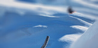 平野歩夢の本気度が伝わるサースフェーでの最新写真