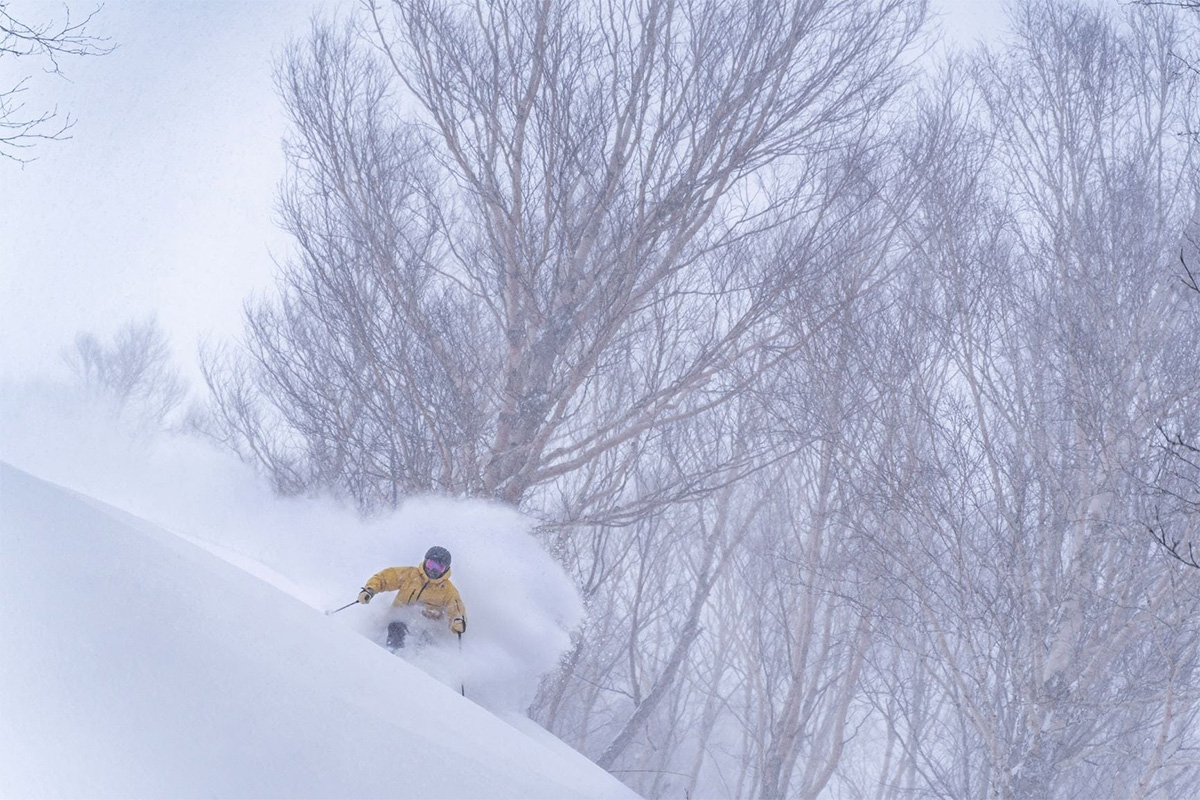 3連休限定特価 オルショウスキー ギャラリーオブライト バンビ とんすけ 3連休限定特価 オルショウスキー ギャラリーオブライト バンビ