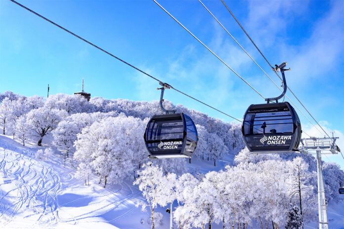 nozawa
