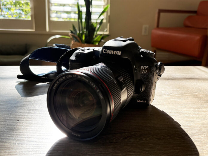 7d
