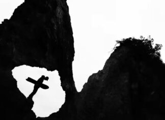 KORUA Shapes – Yearning for Turning Vol.12: Down Under 公開