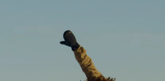 平野歩夢が披露したステールフィッシュが「世界一カッコいいトリック」と絶賛