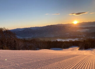 【妙高杉ノ原スキー場】この冬がもっと特別な思い出になる3つの体験プログラムを開催中!