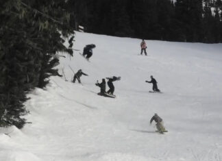 THE SHMOBB SHOW|INTERSECTION 2025 優勝作品が公開