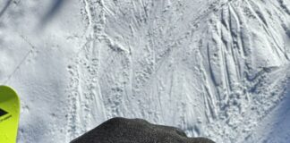 神テリエも愛用。春に効く一双。TRANSFORM Workwear Glove